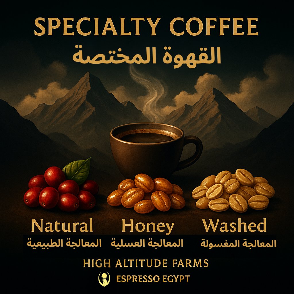 Speciality Coffee - قهوة مختصة