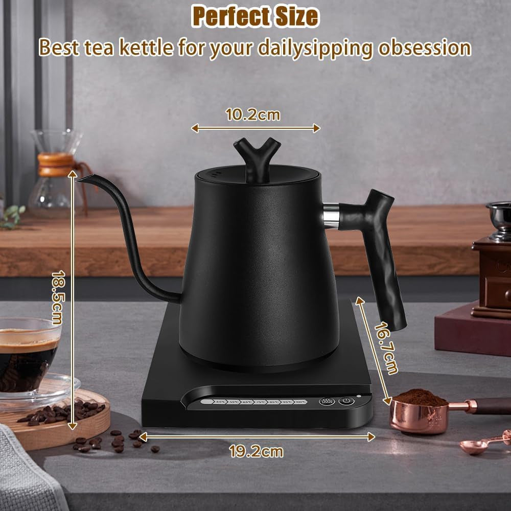 Stainless Steel Gooseneck Kettle, Auto Shut Off and Temperature Control (Black)