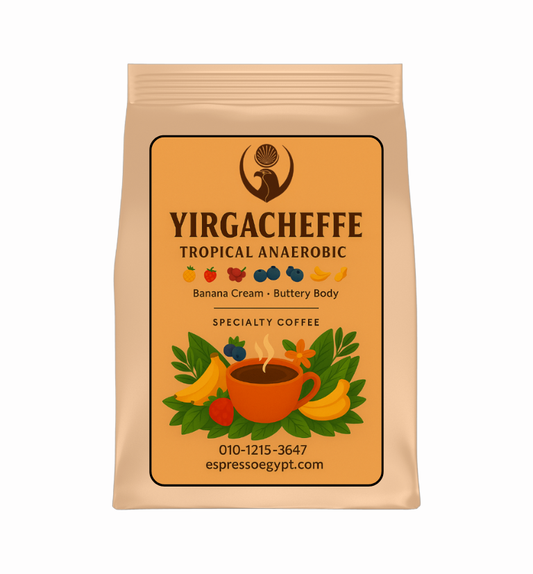 YIRGACHEFFE TROPICAL ANAEROBIC