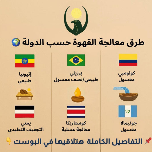 بوست تعليمي: طرق معالجة القهوة حسب الدولة