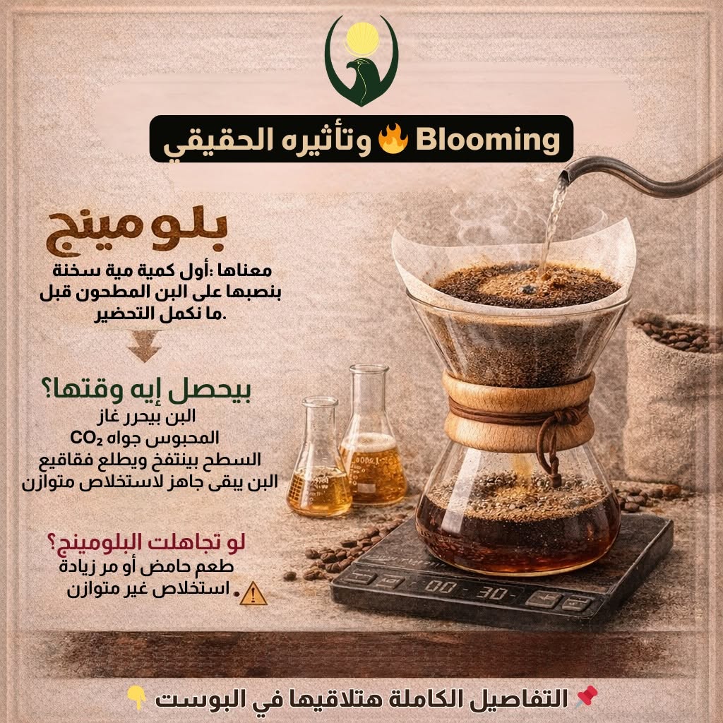 ده بوست تعليمي مهم جدًا لعشاق القهوة&nbsp;