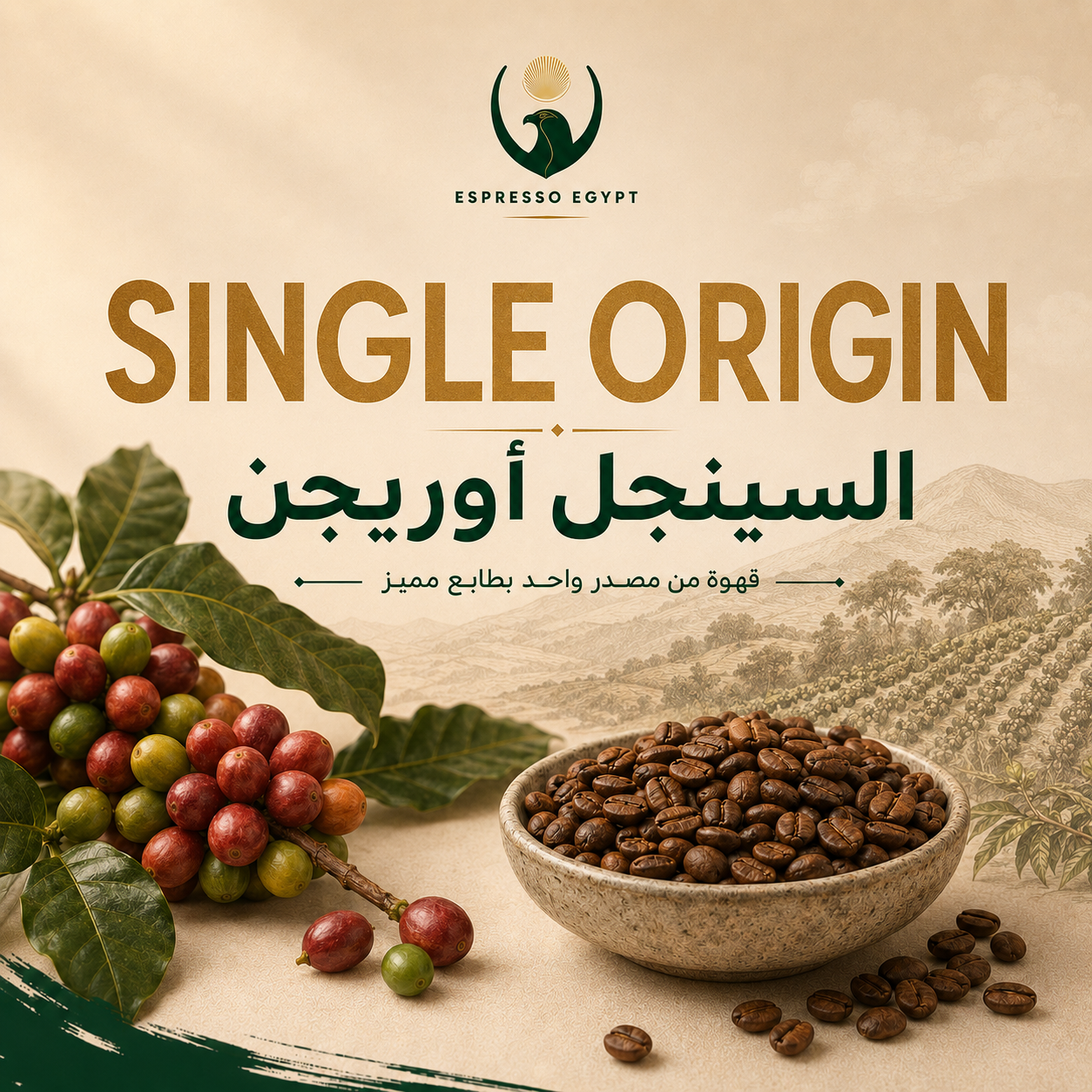 Single-origin coffee beans from Espresso Egypt with distinctive flavors from selected origins