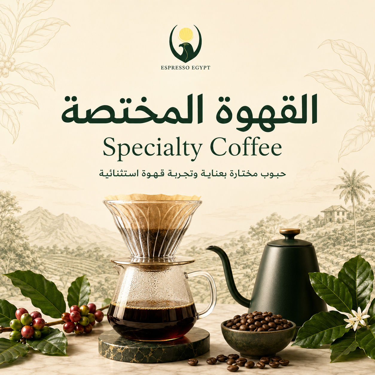 Specialty coffee beans from Espresso Egypt with freshly roasted single-origin coffee