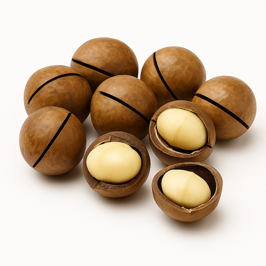 Macadamia - مكاديميا